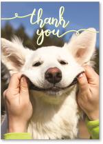 Person pulling dog's face to smile