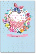 Butterflies and Flowers
