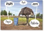 Ostrich