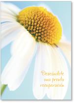 Daisy on blue