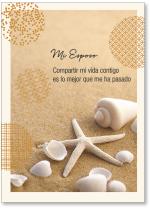 Starfish and shells