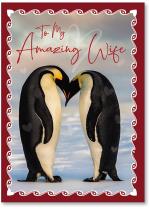 Photo of cuddling penguins