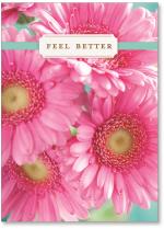 Photo of pink daisies in vase