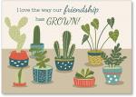 Cactus and houseplants in pots