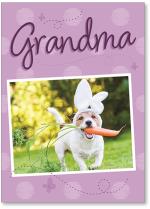 Dog with bunny ears and carrot