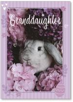 Bunny in flowers