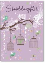 Bird cages 