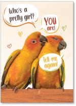 Two lovebirds