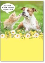 Kitten wiping dog's face