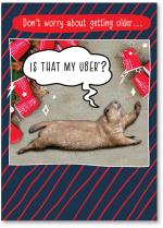 Prairie dog on ground