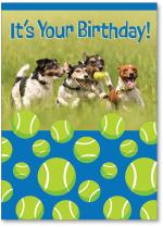 Dogs playing