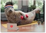 Seal in exercise gear