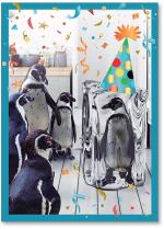Penguins with one in ice