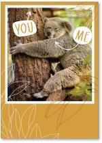 Koala hugging tree