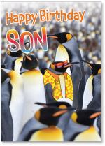 Penguins with one in sunglasses