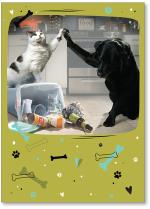 Cat and dog high five on trash