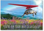 Photo turtle in hang glider