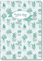 Illustrated house plants