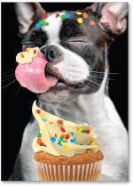 Dog licking cupcake with confetti