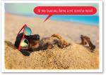 Dog with sunglasses on beach
