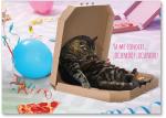 Lazy cat slouched