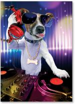 DJ dog