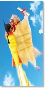 Rocket Hampster