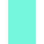 Aqua Tissue