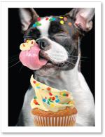 (PB) Dog licking cupcake with confetti