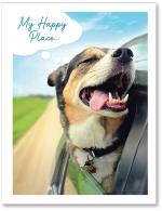 (PB) Dog hanging out car window