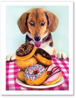 (PB) Dog with a plate of donuts