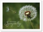 (PB) Dandelion in the wind