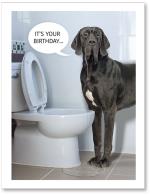 (PB) Dog drinking from toilet