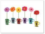 (PB) Flowers in mugs