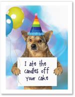 (PB) Shamed dog holding up sign