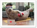 (PB) Seal in exercise gear