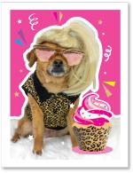 (PB) Dog with blonde wig and sunglasses