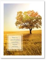 (PB) Fall colored tree in field