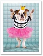 (PB) Prison princess