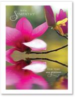 (PB) Flower reflection