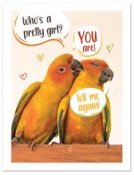 (PB) Two lovebirds