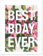 (PB) Best Day Ever Rose Bkgrd