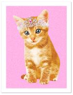 (PB) Princess Kitten