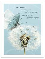 (PB) Photo butterfly on dandelion