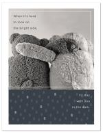 (PB) Photo bears hugging