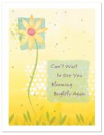 (PB) Yellow Flower In Square