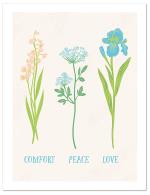 (PB) Three single flower stems