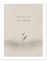 (PB) Quiet Flower
