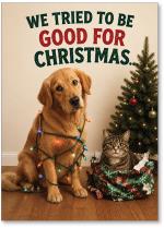 Dog and cat caught in Christmas mischief