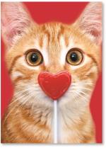 Kitten W/ Stuck Lollipop